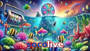 socolive
